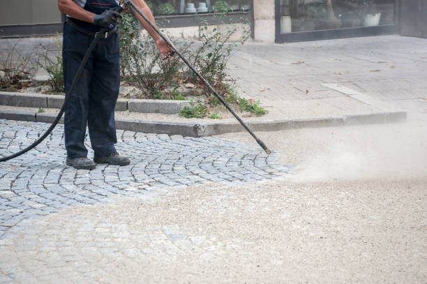 Best Roof Washing  in Pascoag, RI